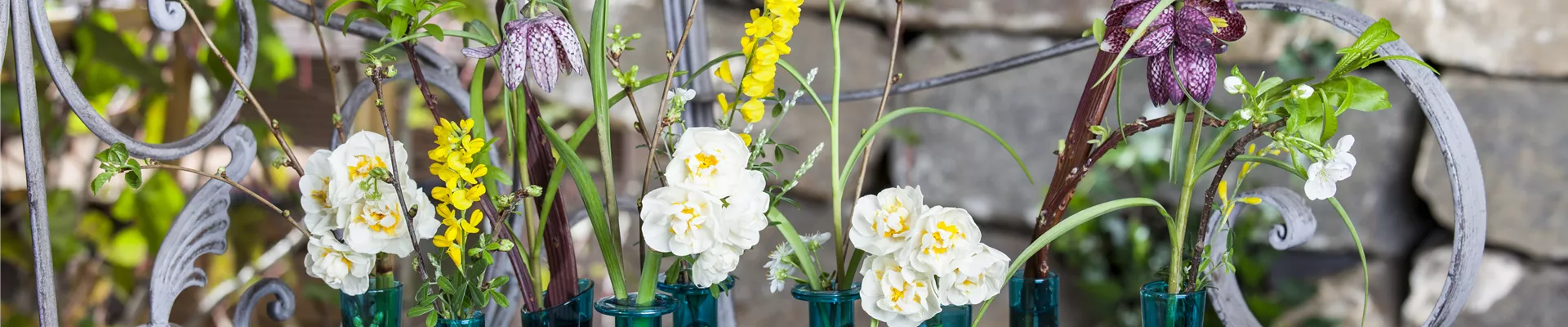 Frühlingsdekoration mit Narcissus 'Bridal Crown', Fritillaria
