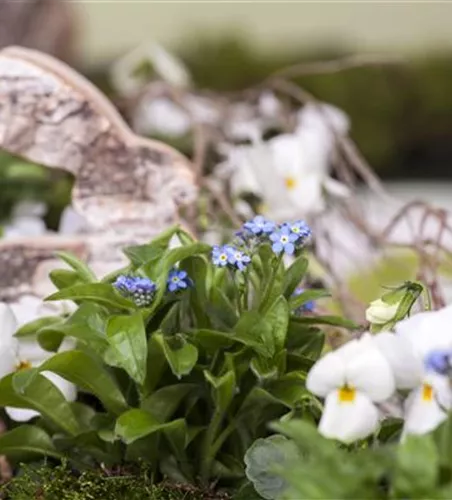 Ostern vor der Haustür