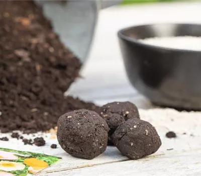 Samenbomben – blühende Überraschungen im Garten