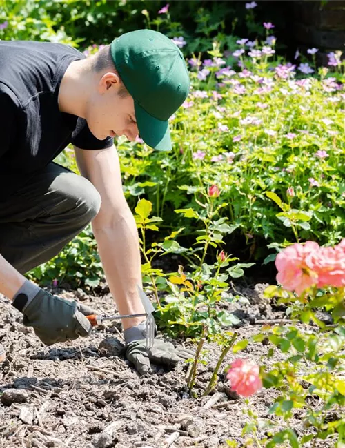Was bringt der April dem Gärtner an Arbeit?