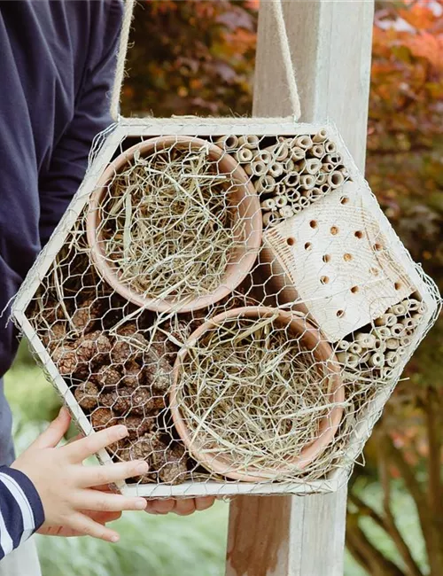 Ein Insektenhotel im Garten - Urlaub für Biene und Co.