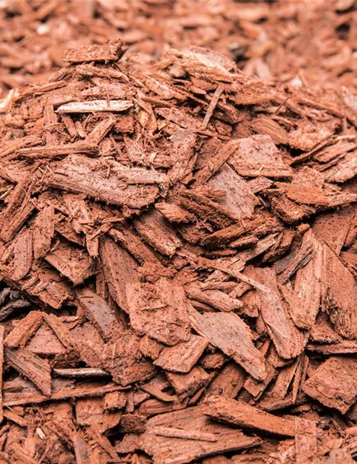 Der Mulch macht’s Der Mulch macht’s