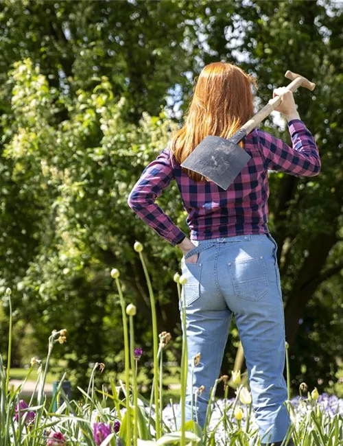 Der Gartenboden – jeder braucht mal Unterstützung Der Gartenboden – jeder braucht mal Unterstützung