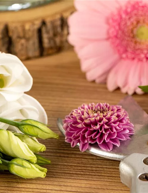 Schnittblumen - was hilft wirklich?