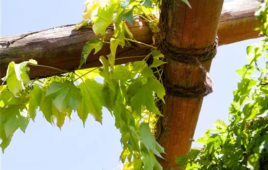Mit dem richtigen Balkon-Sichtschutz einen Rückzugsort schaffen Mit dem richtigen Balkon-Sichtschutz einen Rückzugsort schaffen