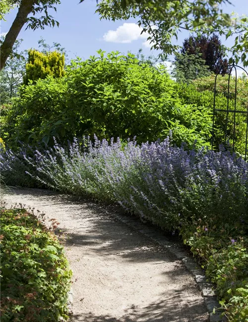 Sie sind bewegend! Wege, die durch den Garten führen.